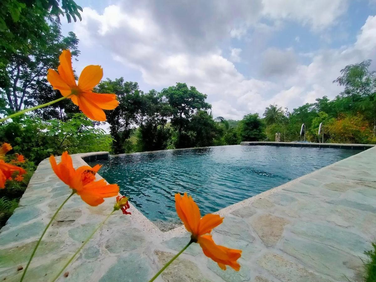 Om Horizon Ecoresort Tayong Εξωτερικό φωτογραφία